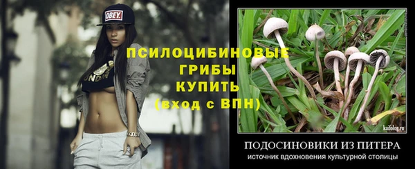 MDMA Гусиноозёрск