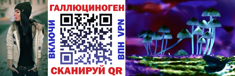 Псилоцибиновые грибы GOLDEN TEACHER  Купить  Усмань 